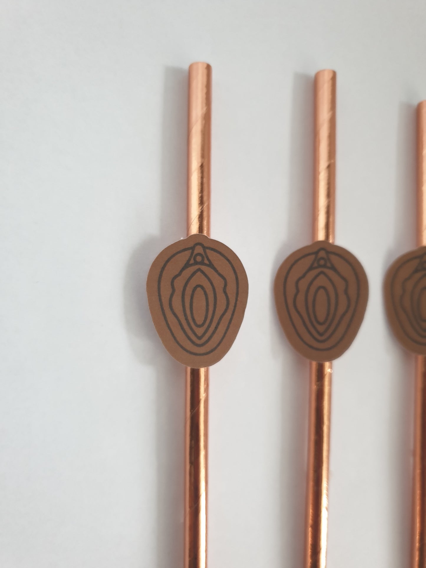 Vulva Hen Party Straws – Brown Design | Set of 10 | Funny Bachelorette Drink Decor