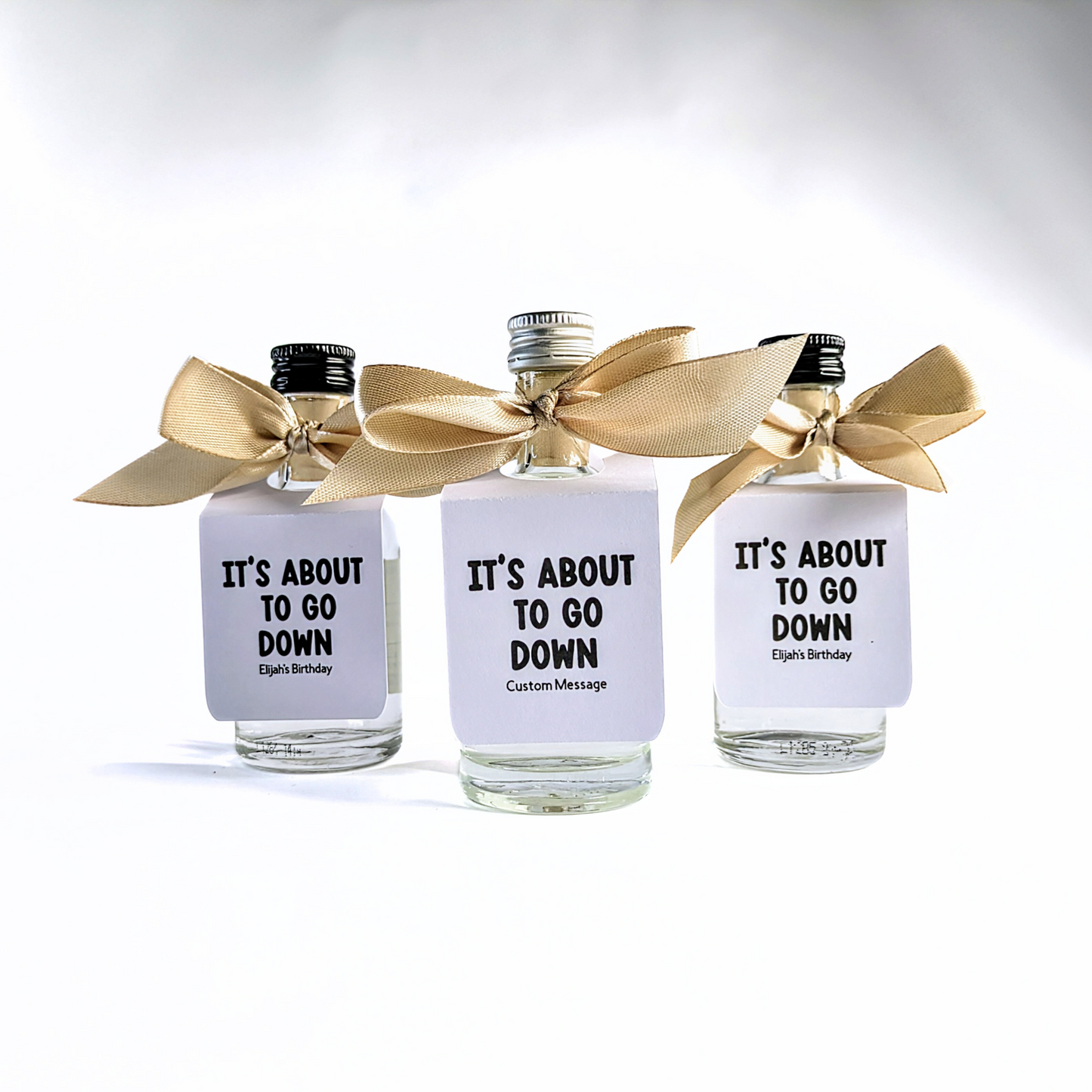 🍾 It’s About to Go Down – Mini Bottle Tags (Set of 10)