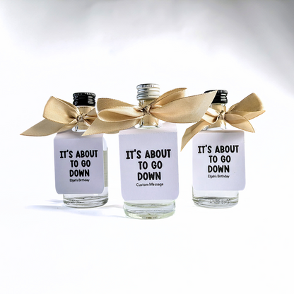 🍾 It’s About to Go Down – Mini Bottle Tags (Set of 10)