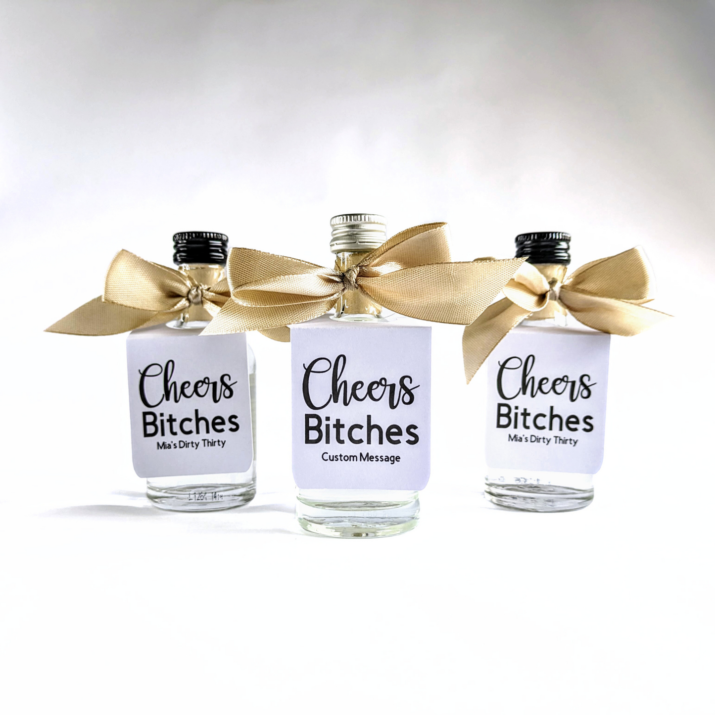 🍾 Cheers Bitches – Mini Bottle Tags (Set of 10)